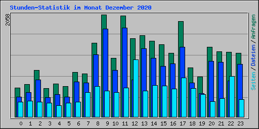 Stunden-Statistik im Monat Dezember 2020