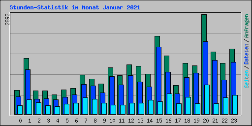 Stunden-Statistik im Monat Januar 2021