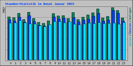 Stunden-Statistik im Monat Januar 2023