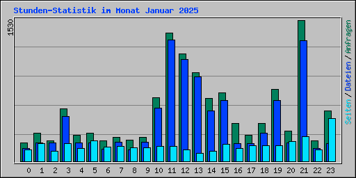 Stunden-Statistik im Monat Januar 2025